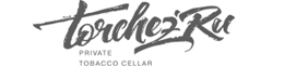 Torchez.Ru Logo