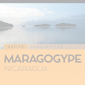 maragogype nicaragua whole bean coffee